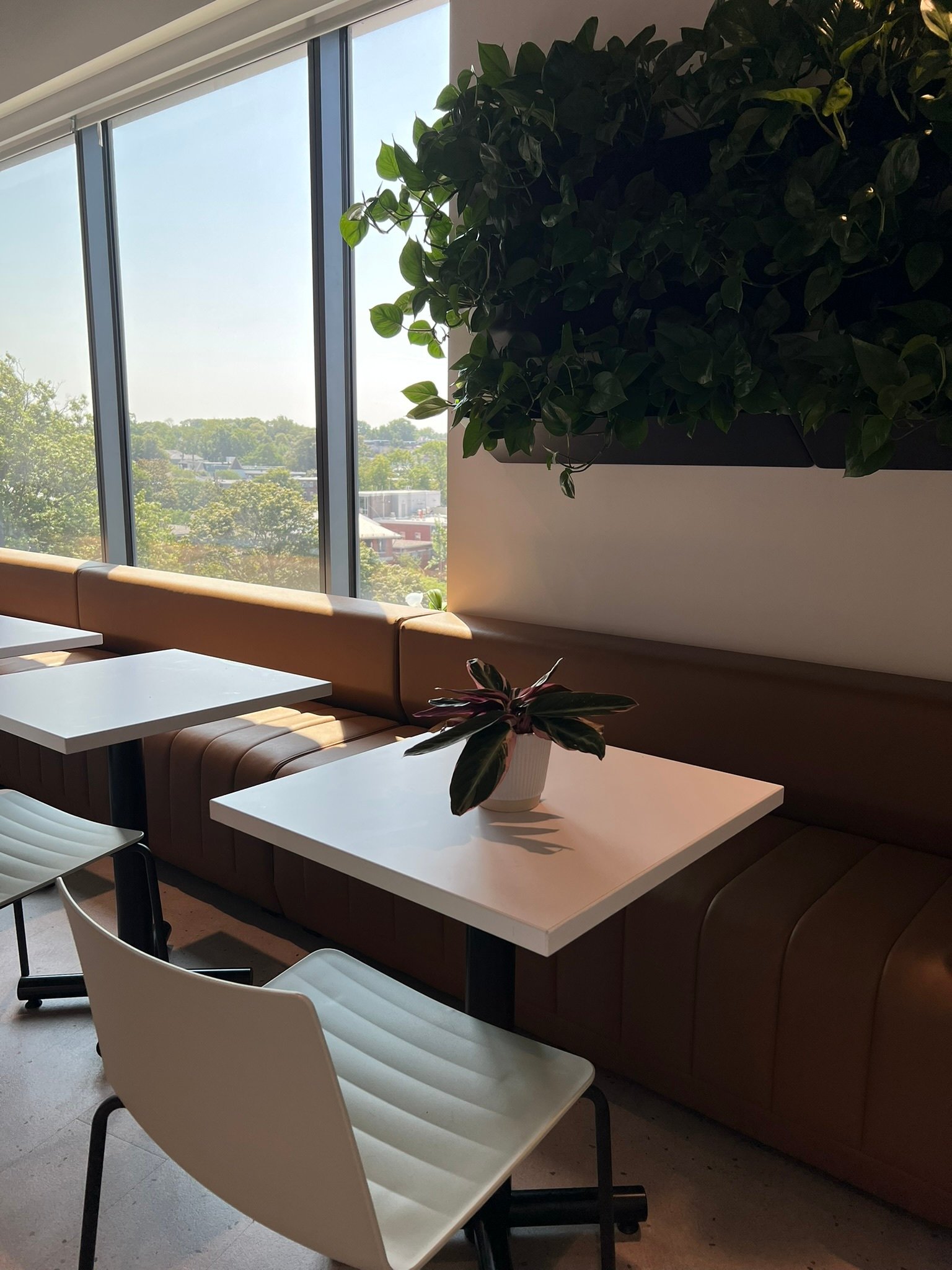 bluehub capital (4)